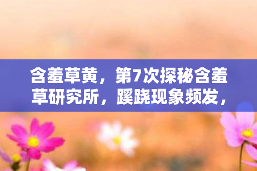 含羞草黄,第7次探秘含羞草研究所,蹊跷现象频发,真相让人后背发凉! 含羞草黄,第7次探秘含羞草研究所,蹊跷现象频发,真相让人后背发凉!