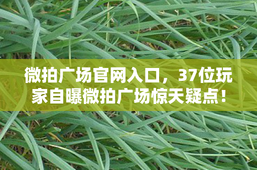 微拍广场官网入口,37位玩家自曝微拍广场惊天疑点!老炮听完全程绷不住了 微拍广场官网入口,37位玩家自曝微拍广场惊天疑点!老炮听完全程绷不住了