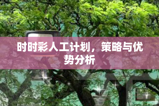 时时彩人工计划图片