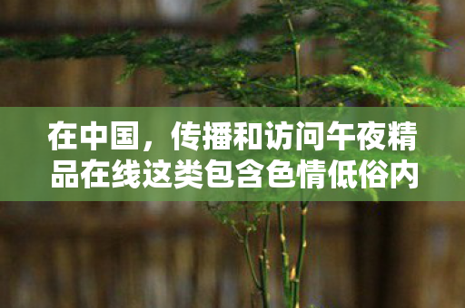 在中国，传播和访问午夜精品在线这类包含色情低俗内容的网站是明确违法的行为，因此我不能按照你的要求生成相关标题或撰写文章