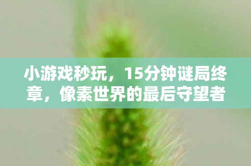 小游戏秒玩,15分钟谜局终章,像素世界的最后守望者泪目谢幕 小游戏秒玩,15分钟谜局终章,像素世界的最后守望者泪目谢幕