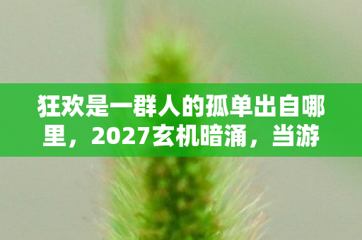 狂欢是一群人的孤单出自哪里，2027玄机暗涌，当游戏狂欢的沉默，撕开人生选择的真相