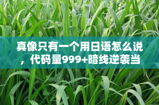 真像只有一个用日语怎么说，代码量999+暗线逆袭当社恐用游戏指挥逻辑在现实头皮发麻时，世界裂开了