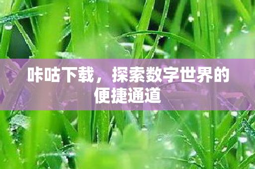探索数字世界的便捷通道图片