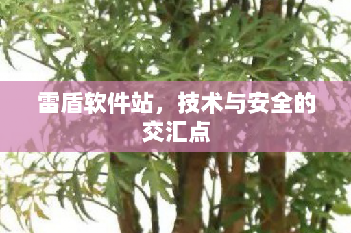 技术与安全的交汇点图片