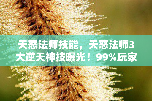 天怒法师技能,天怒法师3大逆天神技曝光!99%玩家竟不知其致命弱点? 天怒法师技能,天怒法师3大逆天神技曝光!99%玩家竟不知其致命弱点?
