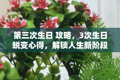 第三次生日 攻略,3次生日蜕变心得,解锁人生新阶段,这份避坑指南必看! 第三次生日 攻略,3次生日蜕变心得,解锁人生新阶段,这份避坑指南必看!