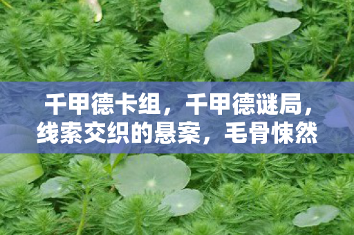 千甲德卡组,千甲德谜局,线索交织的悬案,毛骨悚然之自我终结 千甲德卡组,千甲德谜局,线索交织的悬案,毛骨悚然之自我终结