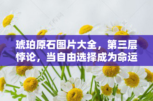 琥珀原石图片大全,第三层悖论,当自由选择成为命运枷锁,灵魂在琥珀中震颤 琥珀原石图片大全,第三层悖论,当自由选择成为命运枷锁,灵魂在琥珀中震颤
