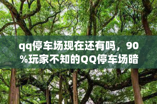 qq停车场现在还有吗,90%玩家不知的QQ停车场暗秘,狂欢背后,谁在透支你的生活? qq停车场现在还有吗,90%玩家不知的QQ停车场暗秘,狂欢背后,谁在透支你的生活?