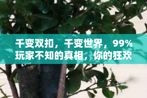 千变双扣,千变世界,99%玩家不知的真相,你的狂欢竟是他人精心设计的局? 千变双扣,千变世界,99%玩家不知的真相,你的狂欢竟是他人精心设计的局?