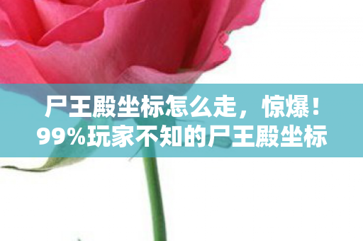 尸王殿坐标怎么走,惊爆!99%玩家不知的尸王殿坐标,竟藏着逆天隐藏机制? 尸王殿坐标怎么走,惊爆!99%玩家不知的尸王殿坐标,竟藏着逆天隐藏机制?