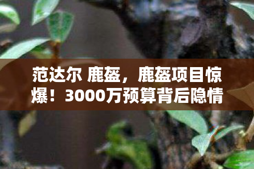 范达尔 鹿盔,鹿盔项目惊爆!3000万预算背后隐情,结果让人吓一跳! 范达尔 鹿盔,鹿盔项目惊爆!3000万预算背后隐情,结果让人吓一跳!