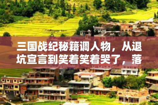 三国战纪秘籍调人物，从退坑宣言到笑着笑着哭了，落差背后，真相竟如此扎心
