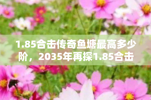 1.85合击传奇鱼塘最高多少阶,2035年再探1.85合击传奇,十年沉浮,谁才是真正的传奇主宰? 1.85合击传奇鱼塘最高多少阶,2035年再探1.85合击传奇,十年沉浮,谁才是真正的传奇主宰?