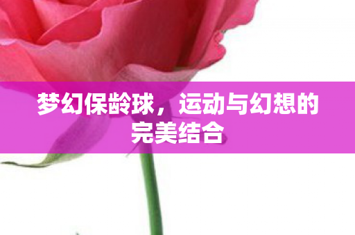 运动与幻想的完美结合图片