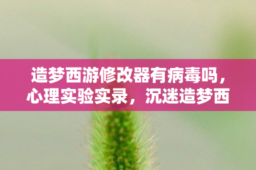 造梦西游修改器有病毒吗,心理实验实录,沉迷造梦西游1修改器,细思极恐的自我麻醉 造梦西游修改器有病毒吗,心理实验实录,沉迷造梦西游1修改器,细思极恐的自我麻醉