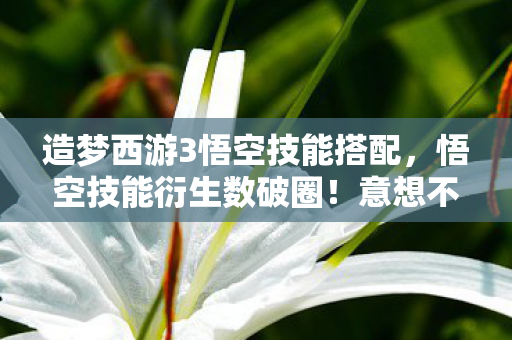 造梦西游3悟空技能搭配，悟空技能衍生数破圈！意想不到跨界秀，颠覆你的想象边界