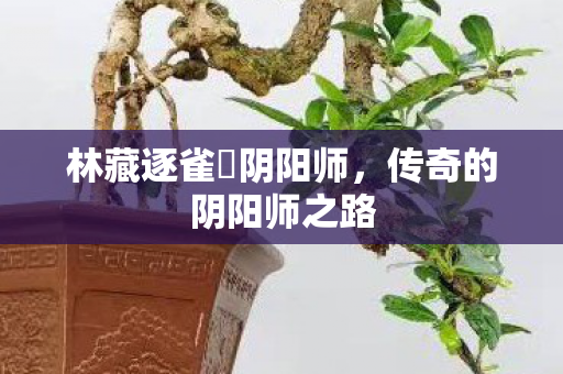 林藏逐雀鷹阴阳师图片