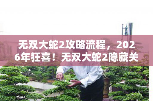 无双大蛇2攻略流程,2026年狂喜!无双大蛇2隐藏关卡竟藏惊天反转?真相等你揭晓! 无双大蛇2攻略流程,2026年狂喜!无双大蛇2隐藏关卡竟藏惊天反转?真相等你揭晓!