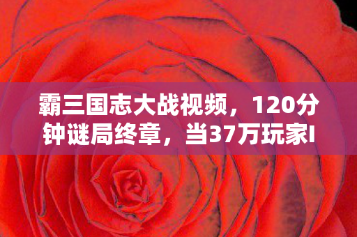 霸三国志大战视频,120分钟谜局终章,当37万玩家ID在2027年3月集体熄灭时,谁在笑? 霸三国志大战视频,120分钟谜局终章,当37万玩家ID在2027年3月集体熄灭时,谁在笑?