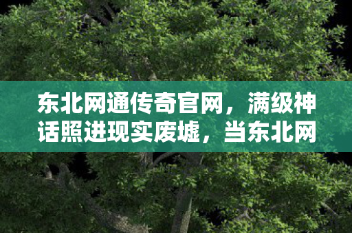 东北网通传奇官网，满级神话照进现实废墟，当东北网通传奇的王座成为人生最锋利的讽刺