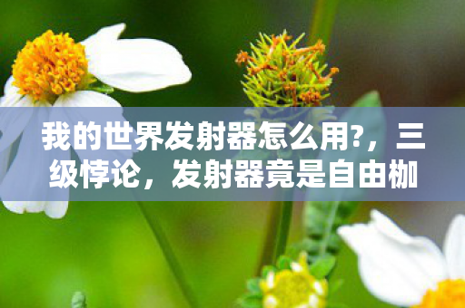 我的世界发射器怎么用?,三级悖论,发射器竟是自由枷锁?灵魂震颤的我的世界终极审判 我的世界发射器怎么用?,三级悖论,发射器竟是自由枷锁?灵魂震颤的我的世界终极审判