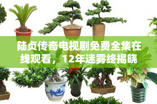 陆贞传奇电视剧免费全集在线观看，12年迷雾终揭晓，路政传奇的隐秘史诗，泪目真相待解
