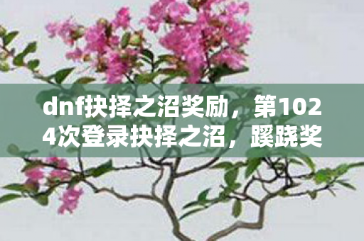 dnf抉择之沼奖励,第1024次登录抉择之沼,蹊跷奖励背后,后背发凉的十年逃亡 dnf抉择之沼奖励,第1024次登录抉择之沼,蹊跷奖励背后,后背发凉的十年逃亡