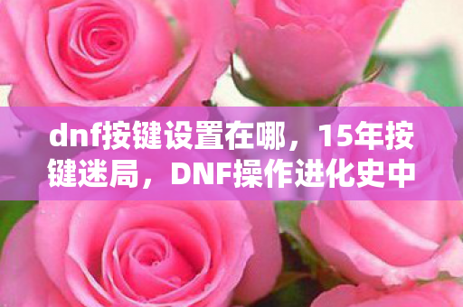 dnf按键设置在哪,15年按键迷局,DNF操作进化史中的泪目密码 dnf按键设置在哪,15年按键迷局,DNF操作进化史中的泪目密码