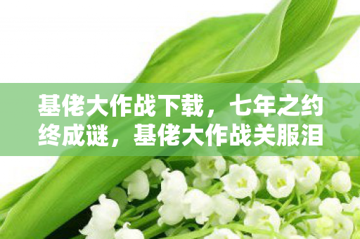 基佬大作战下载,七年之约终成谜,基佬大作战关服泪目倒计时 基佬大作战下载,七年之约终成谜,基佬大作战关服泪目倒计时