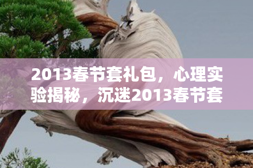 2013春节套礼包,心理实验揭秘,沉迷2013春节套的细思极恐真相 2013春节套礼包,心理实验揭秘,沉迷2013春节套的细思极恐真相
