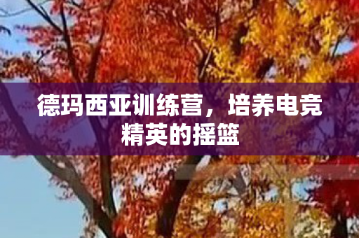 培养电竞精英的摇篮图片