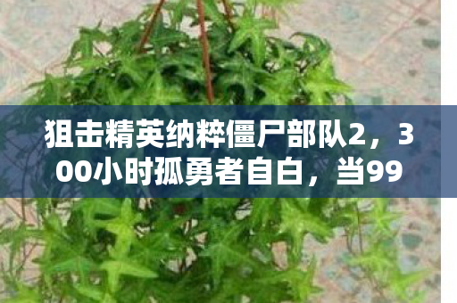 狙击精英纳粹僵尸部队2,300小时孤勇者自白,当996社畜成为狙击精英,却困在纳粹僵尸围城 狙击精英纳粹僵尸部队2,300小时孤勇者自白,当996社畜成为狙击精英,却困在纳粹僵尸围城