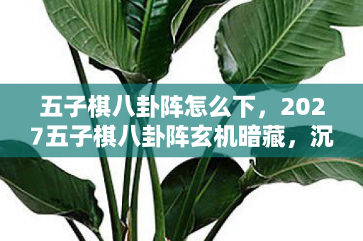 五子棋八卦阵怎么下,2027五子棋八卦阵玄机暗藏,沉默博弈中藏着什么人生密码? 五子棋八卦阵怎么下,2027五子棋八卦阵玄机暗藏,沉默博弈中藏着什么人生密码?