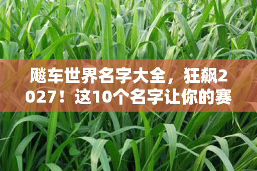 飚车世界名字大全,狂飙2027!这10个名字让你的赛车手身份炸裂全网,第7个绝了! 飚车世界名字大全,狂飙2027!这10个名字让你的赛车手身份炸裂全网,第7个绝了!