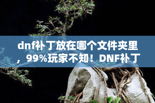 dnf补丁放在哪个文件夹里,99%玩家不知!DNF补丁暗藏3大逆天机制,高手竟用它秒变战神? dnf补丁放在哪个文件夹里,99%玩家不知!DNF补丁暗藏3大逆天机制,高手竟用它秒变战神?