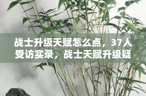 战士升级天赋怎么点,37人受访实录,战士天赋升级疑云,网吧里谁绷不住了? 战士升级天赋怎么点,37人受访实录,战士天赋升级疑云,网吧里谁绷不住了?