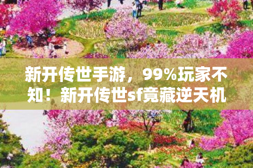新开传世手游,99%玩家不知!新开传世sf竟藏逆天机制,一夜封神还是永久封号? 新开传世手游,99%玩家不知!新开传世sf竟藏逆天机制,一夜封神还是永久封号?