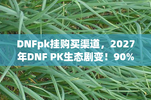 DNFpk挂购买渠道,2027年DNF PK生态剧变!90%玩家亲历的3大挂战心得,错过必被淘汰 DNFpk挂购买渠道,2027年DNF PK生态剧变!90%玩家亲历的3大挂战心得,错过必被淘汰