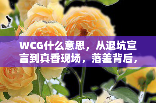 WCG什么意思,从退坑宣言到真香现场,落差背后,笑着笑着就哭了真相 WCG什么意思,从退坑宣言到真香现场,落差背后,笑着笑着就哭了真相