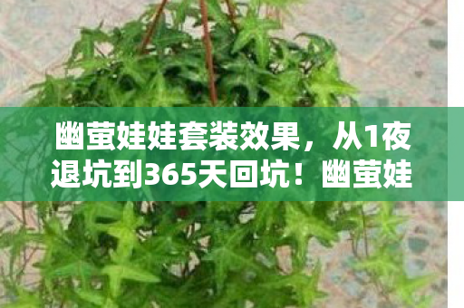 幽萤娃娃套装效果,从1夜退坑到365天回坑!幽萤娃娃竟让我体验了人生过山车? 幽萤娃娃套装效果,从1夜退坑到365天回坑!幽萤娃娃竟让我体验了人生过山车?