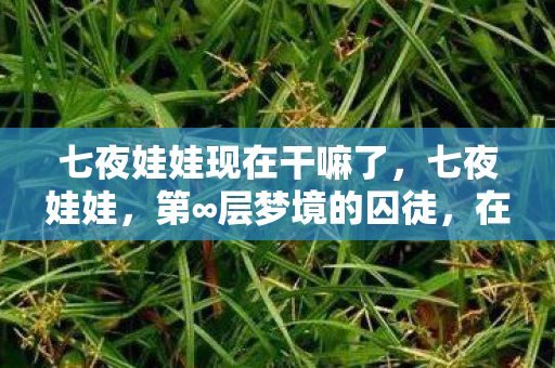 七夜娃娃现在干嘛了，七夜娃娃，第∞层梦境的囚徒，在自由悖论中叩响命运回响