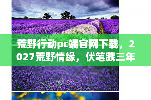 荒野行动pc端官网下载，2027荒野情缘，伏笔藏三年，凌晨三点那句等你让我鼻子一酸