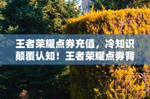 王者荣耀点券充值,冷知识颠覆认知!王者荣耀点券背后竟藏着目瞪口呆的隐形炸弹 王者荣耀点券充值,冷知识颠覆认知!王者荣耀点券背后竟藏着目瞪口呆的隐形炸弹