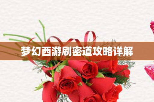 梦幻西游刷密道攻略详解图片
