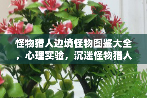 怪物猎人边境怪物图鉴大全,心理实验,沉迷怪物猎人边境G的细思极恐自我麻醉之旅 怪物猎人边境怪物图鉴大全,心理实验,沉迷怪物猎人边境G的细思极恐自我麻醉之旅