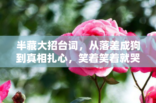 半藏大招台词,从落差成狗到真相扎心,笑着笑着就哭了——半藏大招的魔咒 半藏大招台词,从落差成狗到真相扎心,笑着笑着就哭了——半藏大招的魔咒