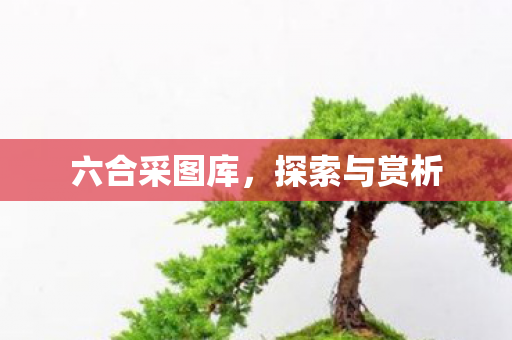 六合采图库图片
