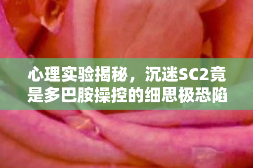 心理实验揭秘,沉迷SC2竟是多巴胺操控的细思极恐陷阱 心理实验揭秘,沉迷SC2竟是多巴胺操控的细思极恐陷阱
